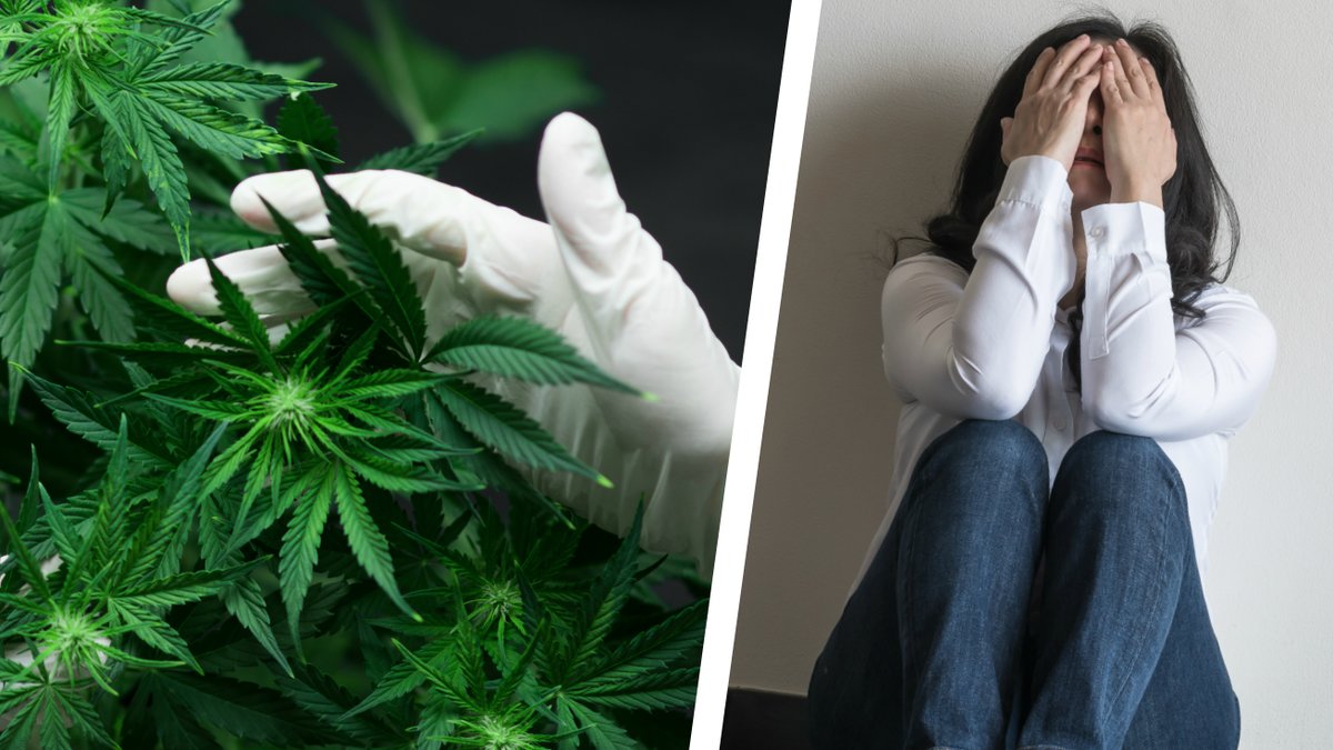 Medicinsk-cannabis-hjalper-inte-mot-angest-och-depression